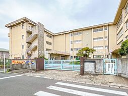 松戸市栄町西1丁目　新築一戸建て　全1棟