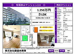 恒陽狭山マンション 224