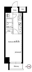 ヴェルト西大島グラーセ 1101