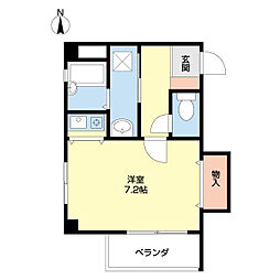 ラークスパー 205