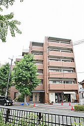 ルピナス紫明 302