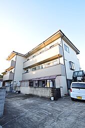 シェモア衣笠 305