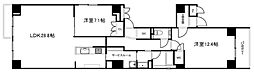SCHONER WHONEN 601