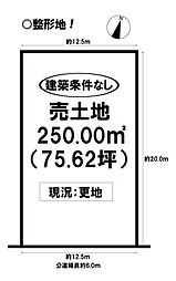 多米東町 売土地