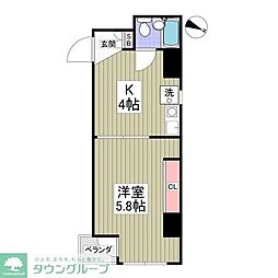 グリーンシャンク