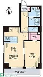 COURT TAKETOKUIII 205