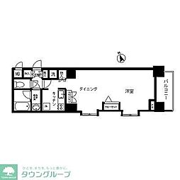 トーシンフェニックス芝アストラーレ