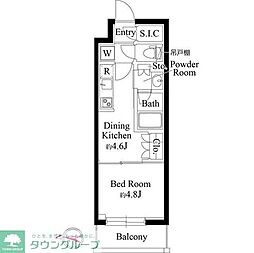 グランパセオ清澄白河II