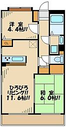 ステラコート