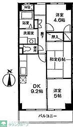 ピトレスク弥生 301