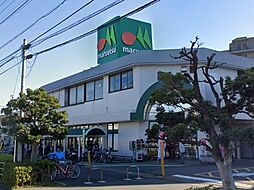 市川パークハイツC棟