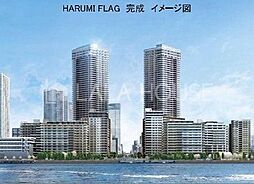 ＨＡＲＵＭＩ　ＦＬＡＧ　ＰＡＲＫ　ＶＩＬＬＡＧＥ　Ｔ棟