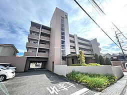 バウムドルフ 206