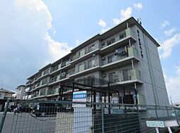 ロイヤルハイツ 303