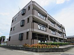 エトワールS 201