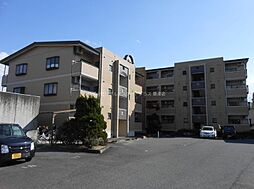 クレットドールY2 305