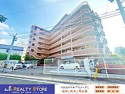アムール高木