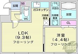 ブランスターレN26