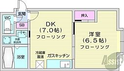 S-court17