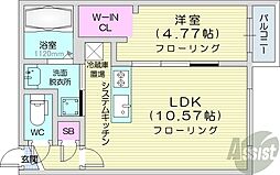 ディオクラシスN36(DIO CLASIS N36)