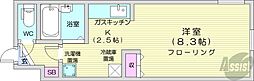 ロアールN21