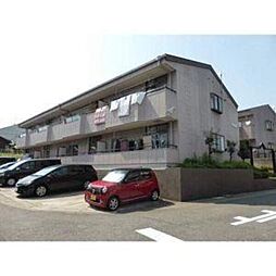 グリーンヤード洋