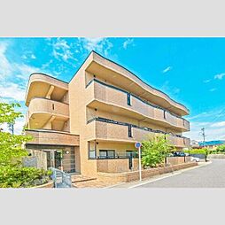 サンシャイン　阪野
