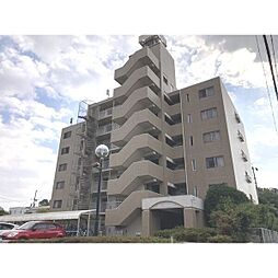 エルスタンザ原