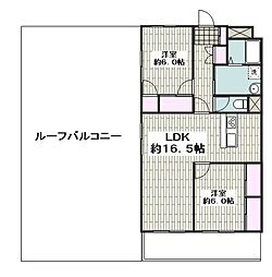 サザンコスモ 803