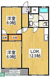 シャトレー新井 303