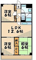 あざみ野コートヒルズ 404
