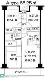 ドルチェコート