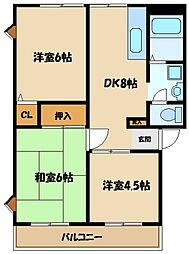 サニーヒル三田 301