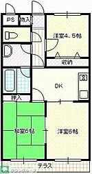 プリムローズ 305