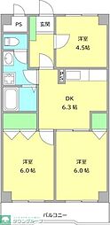ゼファー銀座 503