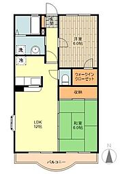 エトワールコマチ