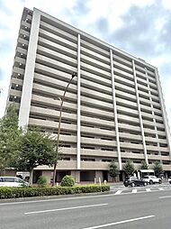 アルファステイツ大学病院通り