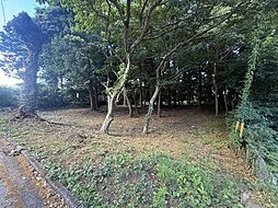 伊東市富戸の土地