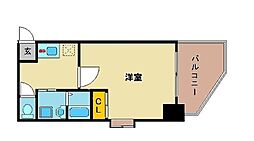 サヴォイエイペックス 905