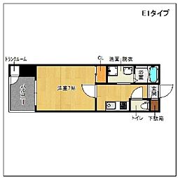 サヴォイテンジンスクワイヤー