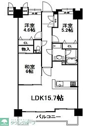 フローレンス貝塚