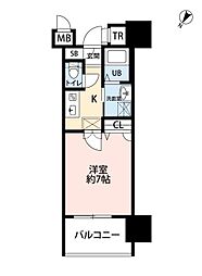 サヴォイ　テンジンスクワイヤー