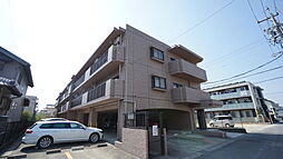 ピセスロイヤル富田 305