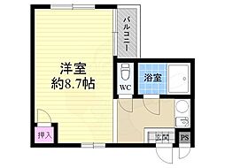 PINE TREE（パインツリー）