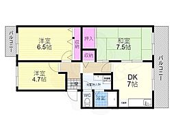 マッシュハイム2