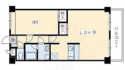 グレース・ナカミヤ 308