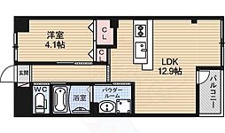 パラシオ　レイ