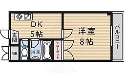 グレースHAYAMA