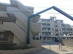 コスモ新検見川2