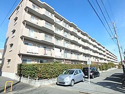 津田沼ハイツＢ棟